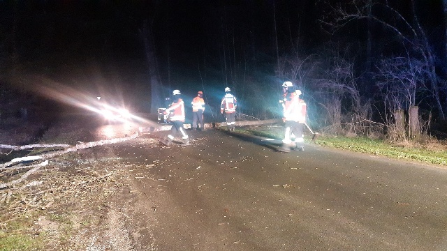 20230311_004809_resized groß.jpg